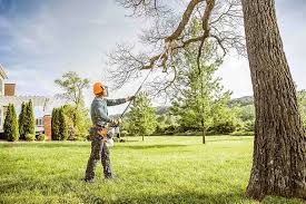 Best Tree Mulching  in Espaola, NM